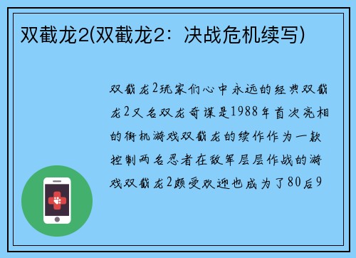 双截龙2(双截龙2：决战危机续写)